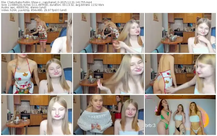 2025/12/31/chaturbate-_capybara0_0-14-17-55
