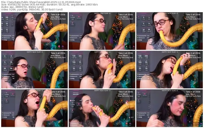 2025/12/31/chaturbate-evarabbit-05-33-06