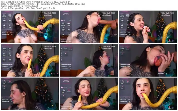 2025/12/31/chaturbate-evarabbit-07-58-28