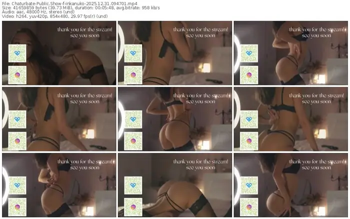 2025/12/31/chaturbate-inkanuko-09-47-01