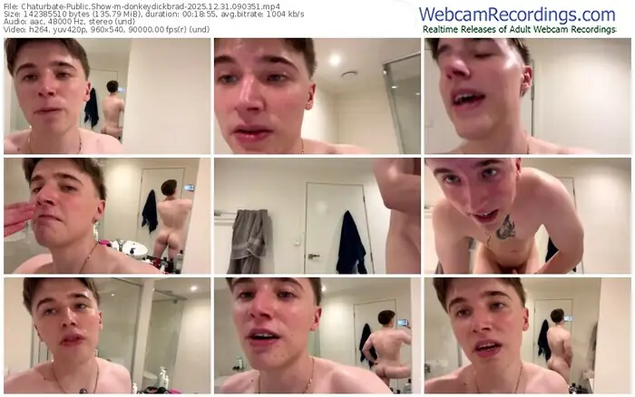 2025/12/31/chaturbate-donkeydickbrad-09-03-51