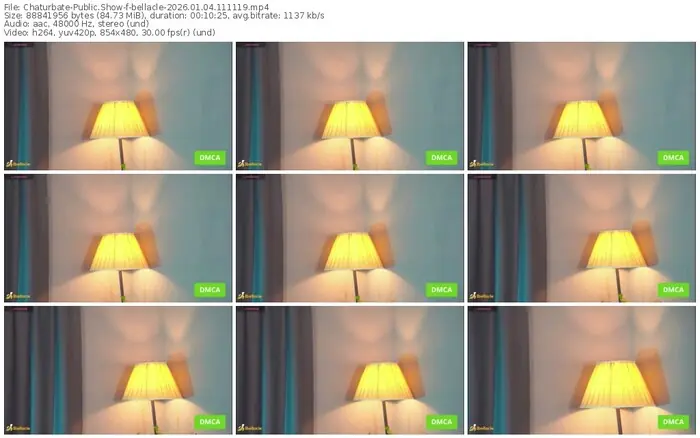 2026/01/04/chaturbate-bellacle-11-11-19