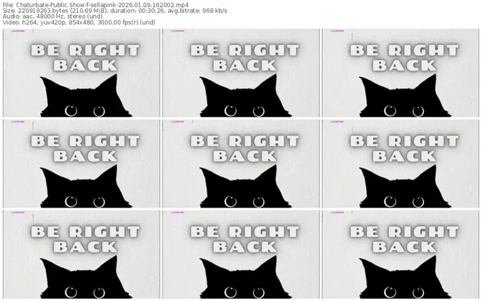 2026/01/09/chaturbate-sellapink-16-20-02