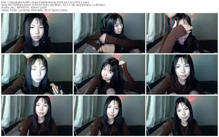 2026/01/13/chaturbate-edithobeng-12-53-11