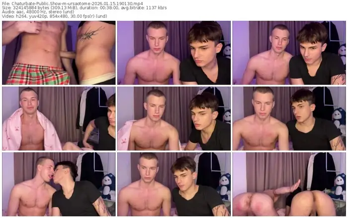 2026/01/15/chaturbate-ursaotome-19-01-30