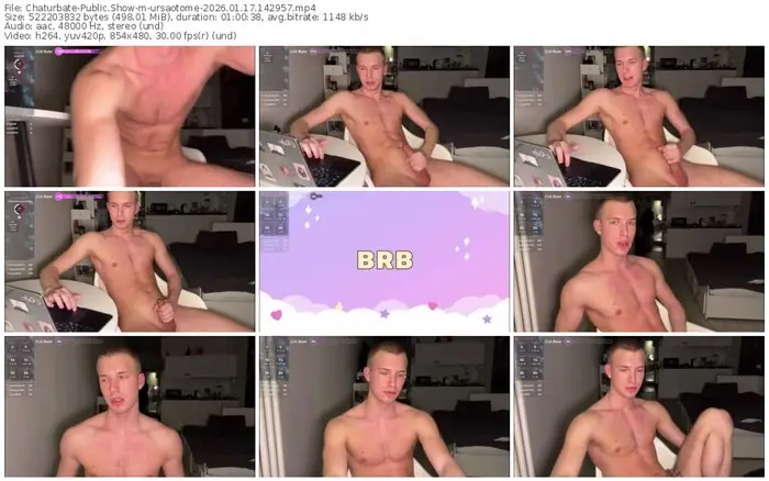 2026/01/17/chaturbate-ursaotome-14-29-57