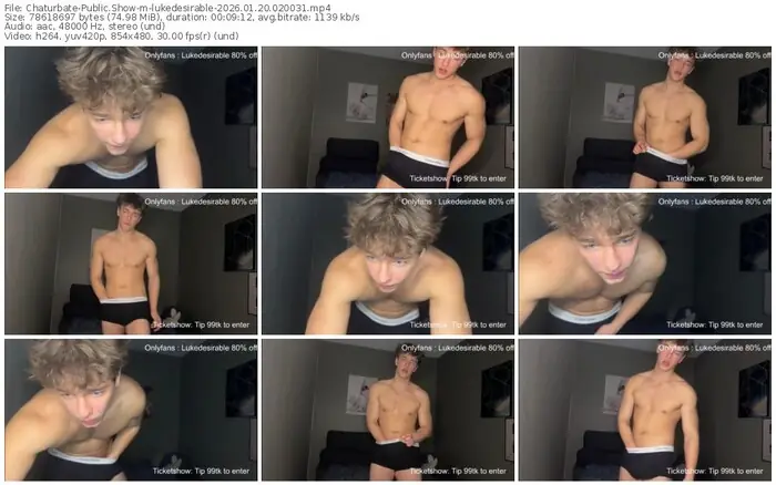 2026/01/20/chaturbate-lukedesirable-02-00-31