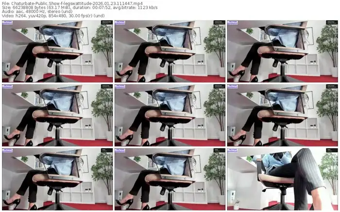 2026/01/23/chaturbate-legswattitude-11-14-47