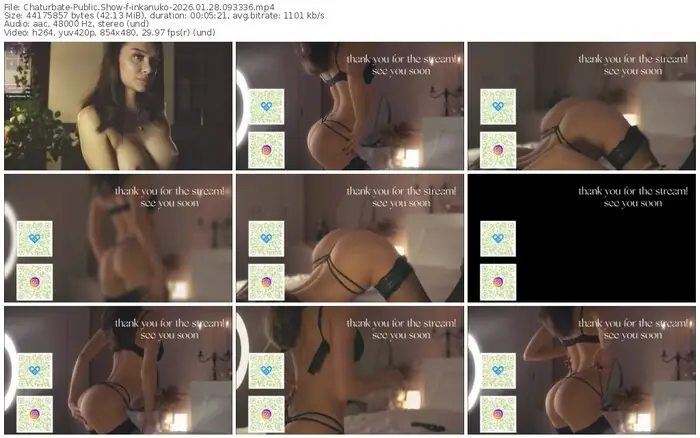 2026/01/28/chaturbate-inkanuko-09-33-36