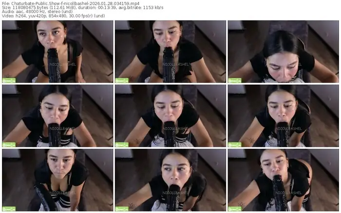2026/01/28/chaturbate-nicollbashel-03-41-59