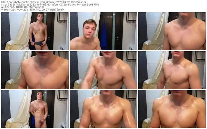 2026/01/28/chaturbate-you_dream_-05-32-52