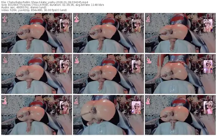 2026/01/28/chaturbate-kate_yoshy-03-42-45