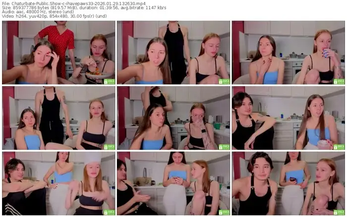2026/01/29/chaturbate-ihavepaws33-13-26-30