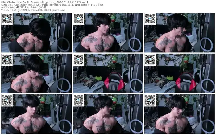 2026/01/29/chaturbate-fit_prince_-01-11-20