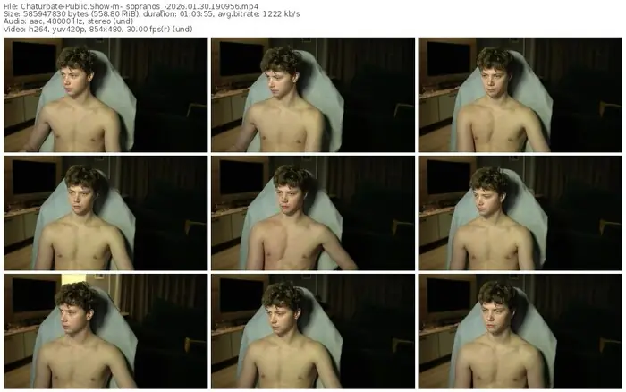 2026/01/30/chaturbate-_sopranos_-19-09-56