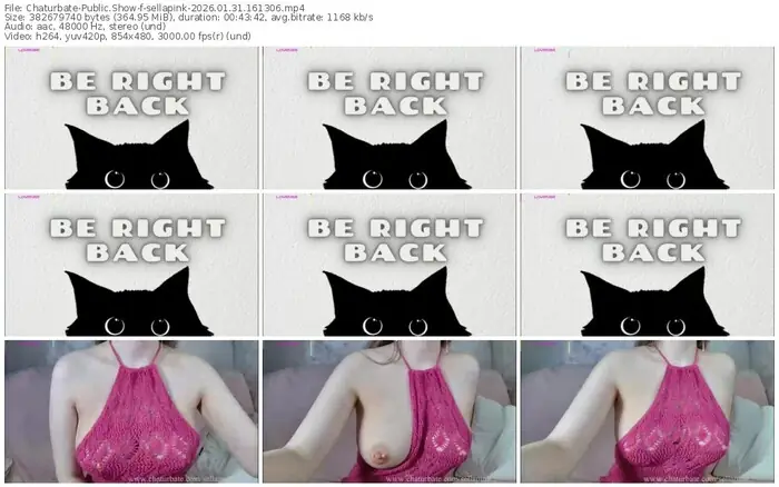 2026/01/31/chaturbate-sellapink-16-13-06