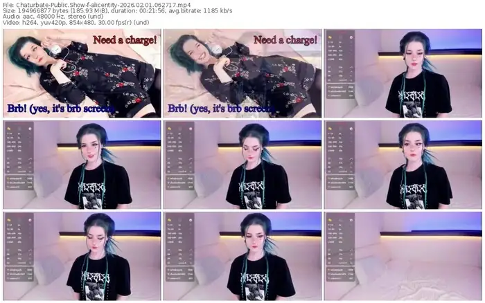 2026/02/01/chaturbate-alicentity-06-27-17