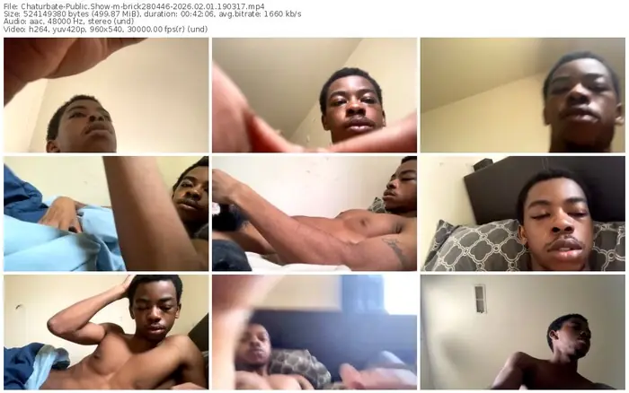2026/02/01/chaturbate-brick280446-19-03-17