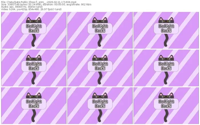 2026/02/11/chaturbate-_enni__-17-16-04