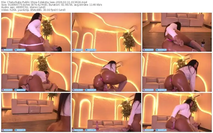 2026/02/11/chaturbate-dakota_leex-01-36-24