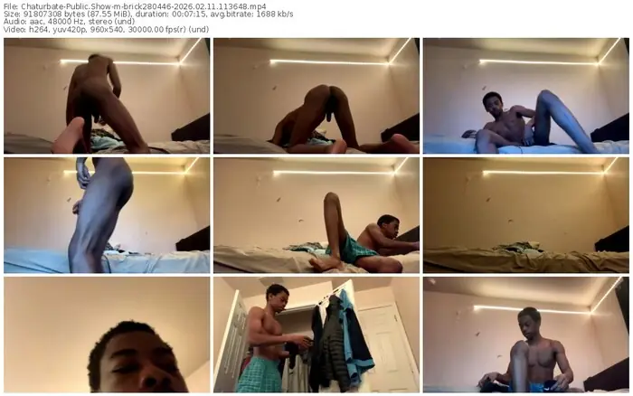 2026/02/11/chaturbate-brick280446-11-36-48