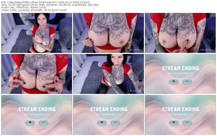 2026/02/12/chaturbate-harliequinnx-06-01-23