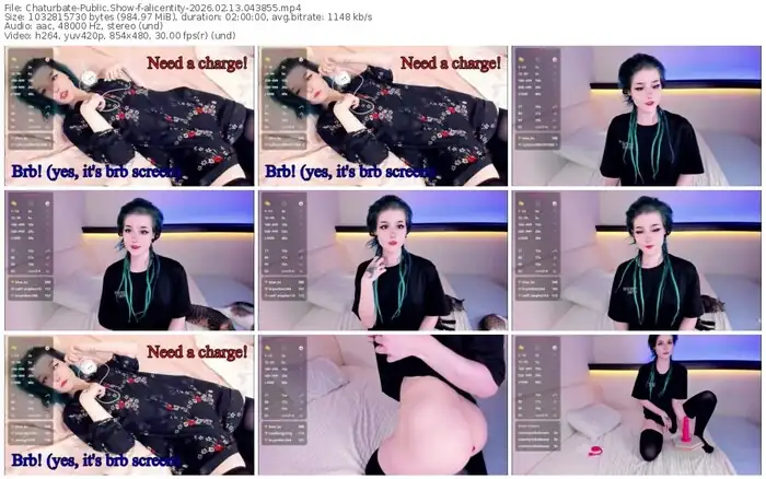 2026/02/13/chaturbate-alicentity-04-38-55