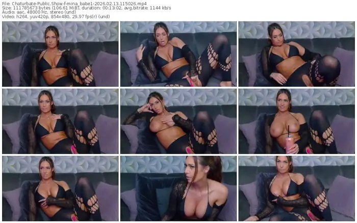 2026/02/13/chaturbate-mina_babe1-11-50-26