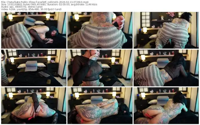 2026/02/13/chaturbate-scarlett_collins01-07-29-10