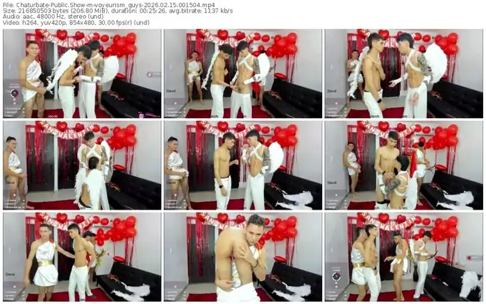 2026/02/15/chaturbate-voyeurism_guys-00-15-04