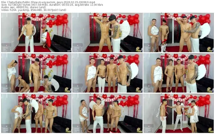 2026/02/15/chaturbate-voyeurism_guys-03-09-10