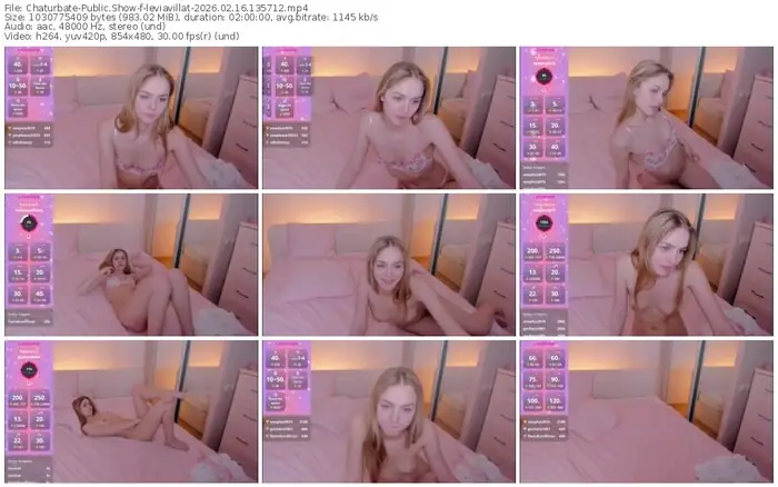 2026/02/16/chaturbate-leviavillat-13-57-12