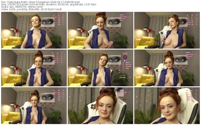 2026/02/17/chaturbate-meganiex-04-46-39