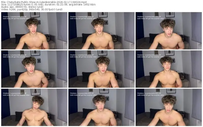 2026/02/17/chaturbate-lukedesirable-19-40-24