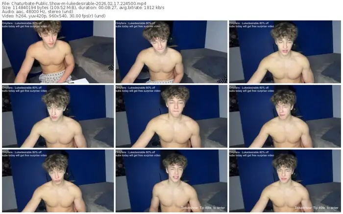 2026/02/17/chaturbate-lukedesirable-22-45-00
