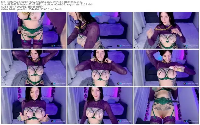 2026/02/18/chaturbate-harliequinnx-05-06-04