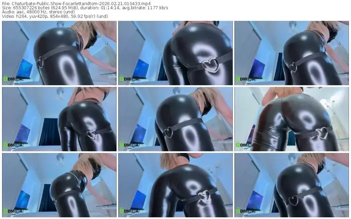 2026/02/21/chaturbate-scarlettandtom-01-04-33