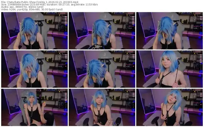 2026/02/21/chaturbate-zelda_1-20-33-03