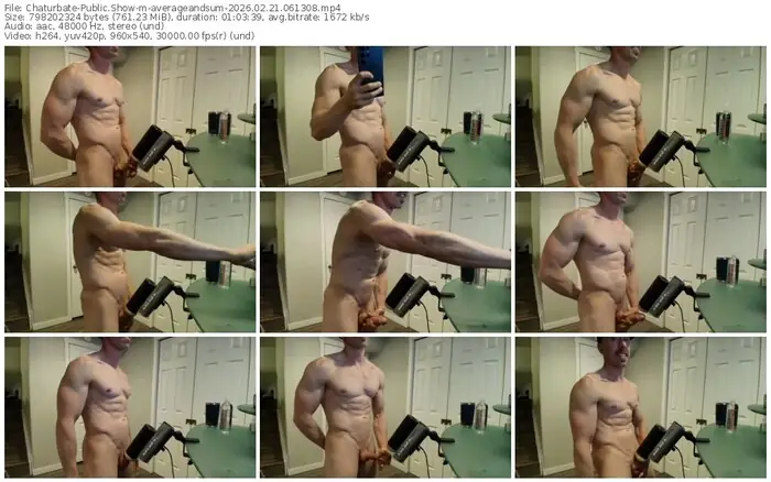 2026/02/21/chaturbate-averageandsum-06-13-08