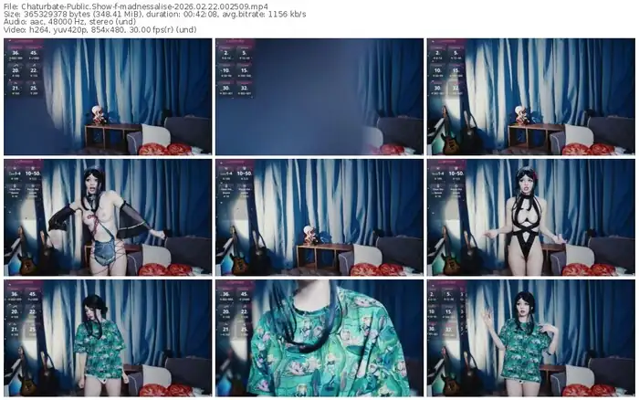 2026/02/22/chaturbate-madnessalise-00-25-09