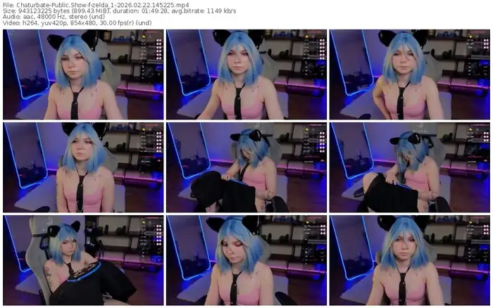 2026/02/22/chaturbate-zelda_1-14-52-25