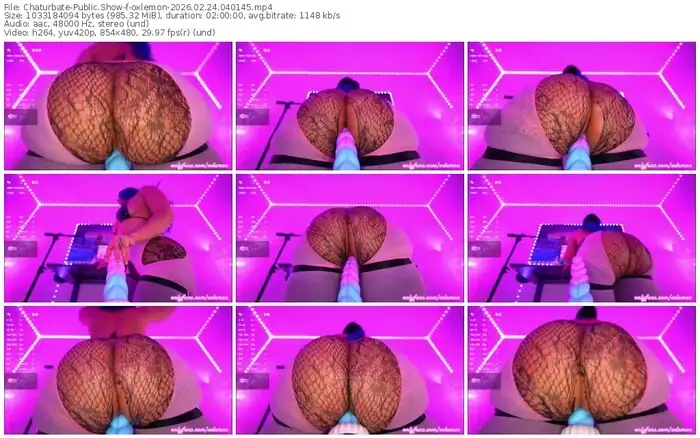 2026/02/24/chaturbate-oxlemon-04-01-45