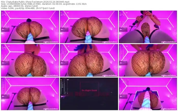 2026/02/24/chaturbate-oxlemon-06-04-46