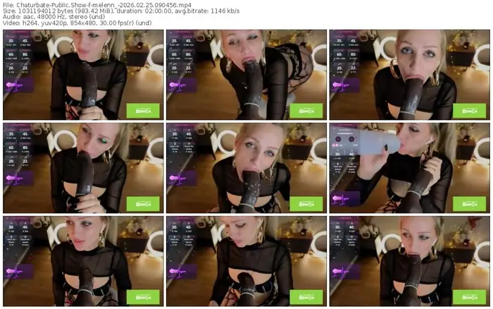 2026/02/25/chaturbate-melenn_-09-04-56