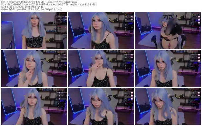 2026/02/25/chaturbate-zelda_1-19-04-06