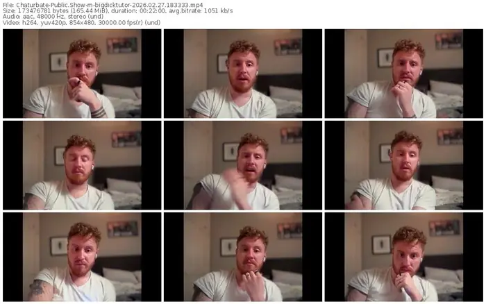 2026/02/27/chaturbate-bigdicktutor-18-33-33