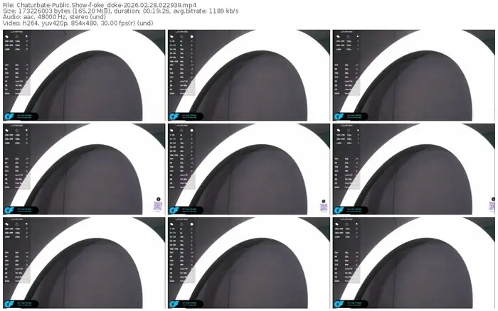 2026/02/28/chaturbate-oke_doke-02-29-39