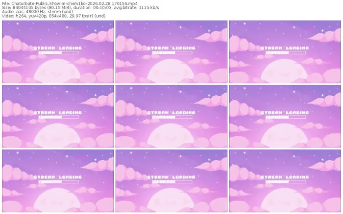 2026/02/28/chaturbate-chem1ko-17-01-56