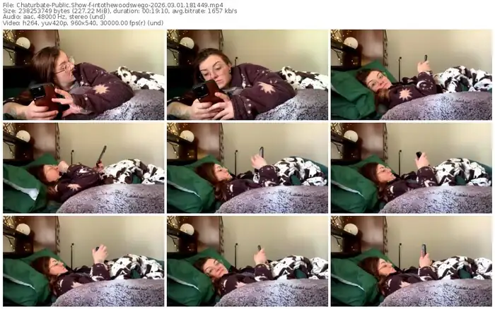 2026/03/01/chaturbate-intothewoodswego-18-14-49