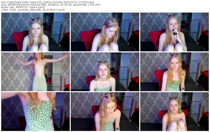 2026/03/01/chaturbate-lil_cookie_monster-17-19-16